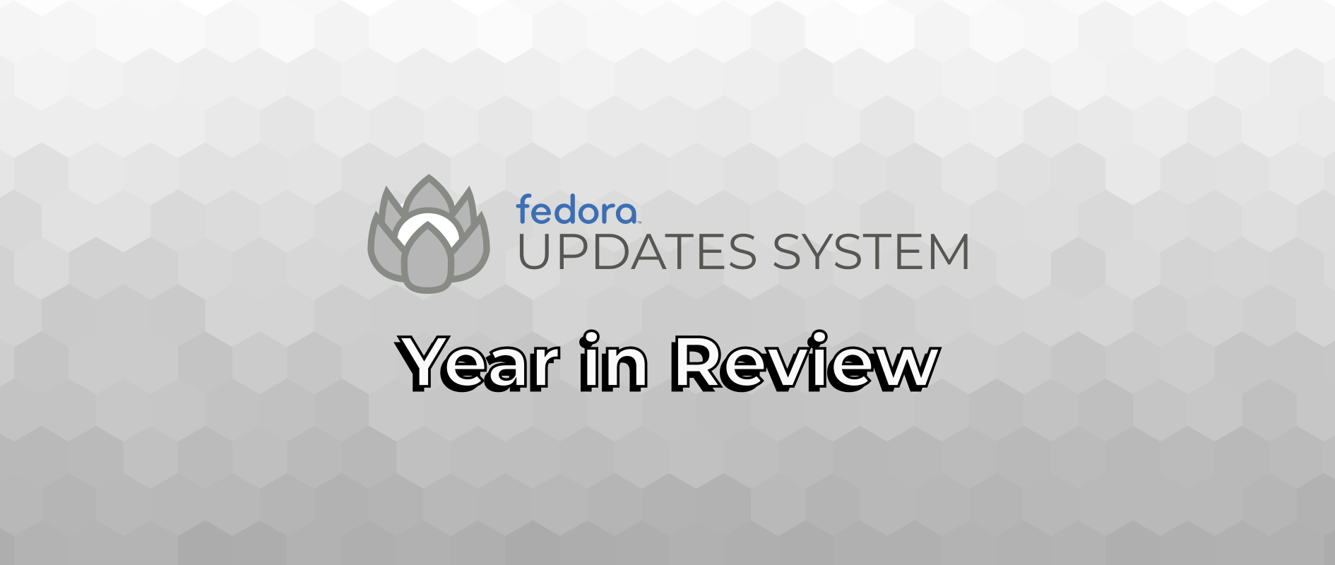 Bodhi: 2017 Year in Review